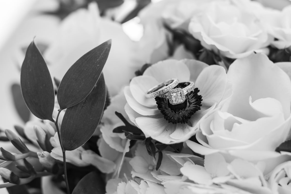 Half Day Wedding Photography Package - Jennifer Mummert Photography