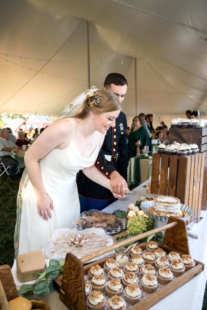 Quinn Wedding -Taneytown Maryland -  Cake Cutting